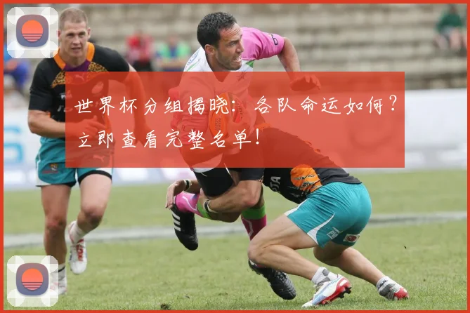 世界杯分组揭晓：各队命运如何？立即查看完整名单！