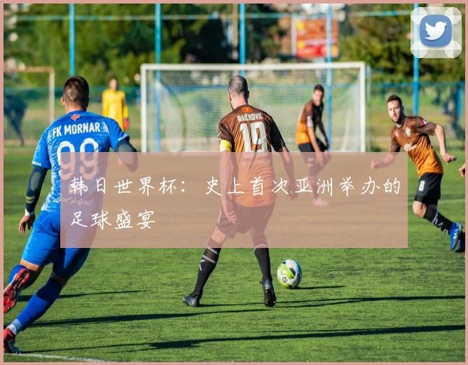 韩日世界杯：史上首次亚洲举办的足球盛宴