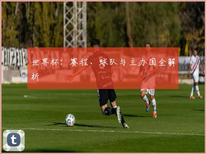 世界杯：赛程、球队与主办国全解析